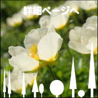 プライベートガイド