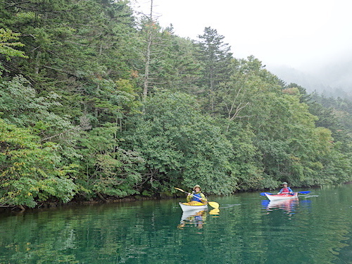 森が迫る岸沿いを進む2艇のカヤックの様子を写したツアー写真