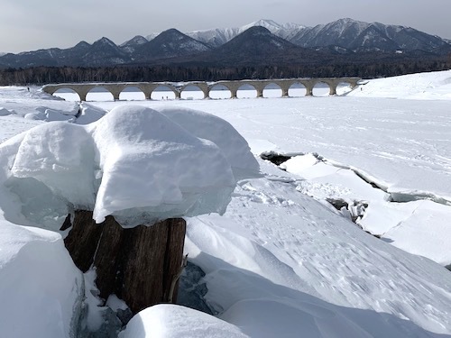 糠平湖の冬の風物詩キノコ氷