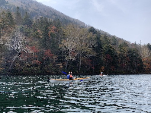紅葉した森に囲まれた然別湖を進むシーカヤック